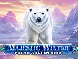 Majestic Winter Polar Adventures game thumbnail